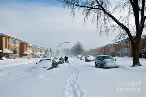 Winter Disaster In Chicago 2010 Photograph by Dejan Jovanovic