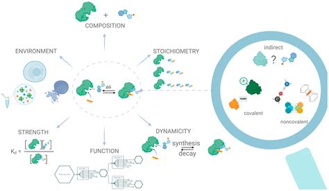 IJMS | Free Full-Text | The Knowns and Unknowns in Protein–Metabolite Interactions