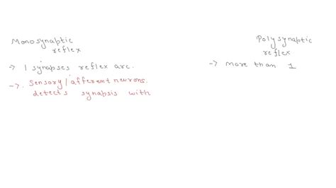 SOLVED: Describe the differences between a monosynaptic reflex and a polysynaptic reflex and ...