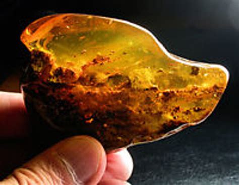 A Brief History of Baltic Amber - Baltic Amber Jewelry Studio by Amber ...