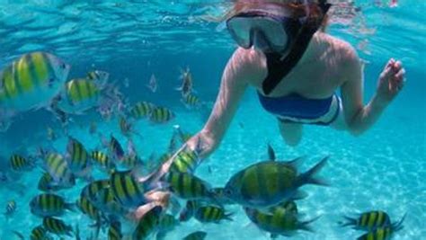 Underwater paradise: Spectacular snorkeling in the Caribbean