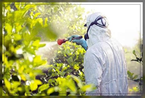 Fumigation: Procedure and Types - Al Ardh Alkhadra