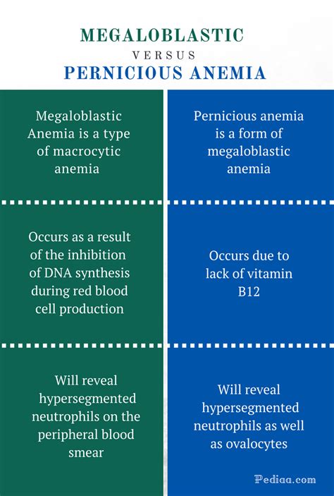 Difference Between Megaloblastic and Pernicious Anemia | Causes, Signs ...