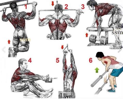 Image result for lat workout for men at gym | Back workout for mass, Good back workouts, Back ...