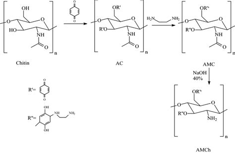 Synthesis of aminated chitosan | Download Scientific Diagram