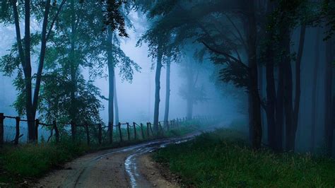 Dark Forest Road Wallpapers - Top Free Dark Forest Road Backgrounds ...