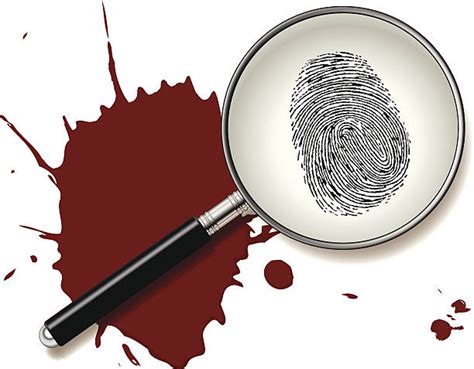 Crime Scene Illustrations, Royalty-Free Vector Graphics & Clip Art - iStock