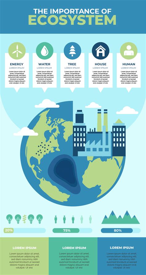 Ecosystem Infographic Template