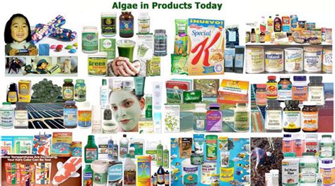 Al Fin Energy: Algae Is Already Big Business