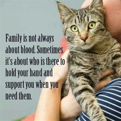 Pin by Brenda Moye on Cats | Cat quotes, Cats, Animal quotes