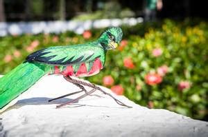 Fake bird and garden watering can - Creative Commons Bilder