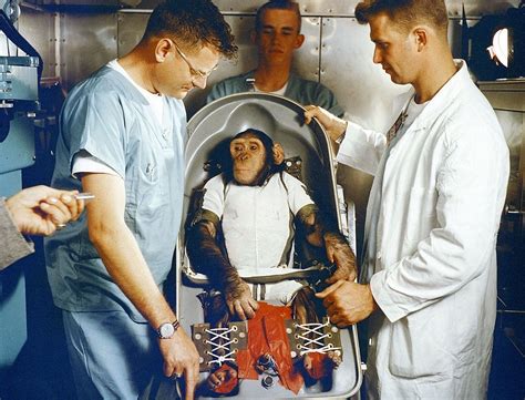 Life story and Photos of Ham, the First Chimpanzee who traveled in Space