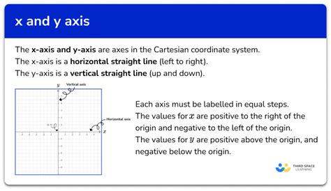 Vertical Axis And Horizontal Axis