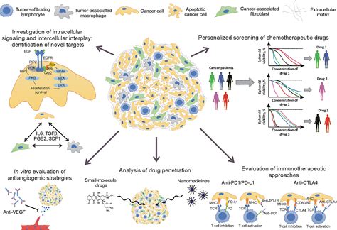 Frontiers | Biomedical Applications of Non-Small Cell Lung Cancer Spheroids