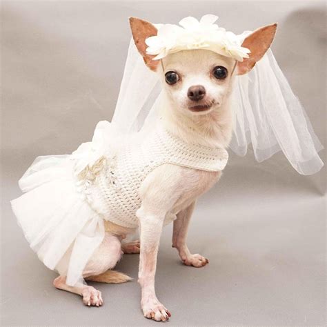 White Bridal Dog Wedding Dress Fancy Dog Bridesmaid Dress - Etsy