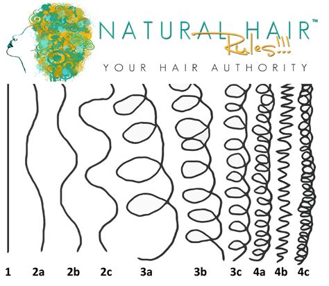 Natural Hair Typing Chart