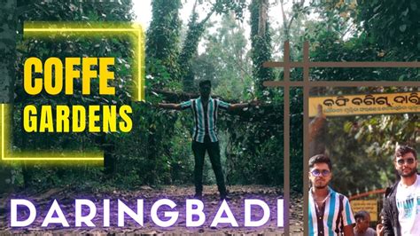 DARINGBADI COFFEE GARDEN || ALL ABOUT DARINGBADI COFFEE PLANTATION || KANDHAMAL, ODISHA PHULBANI ...