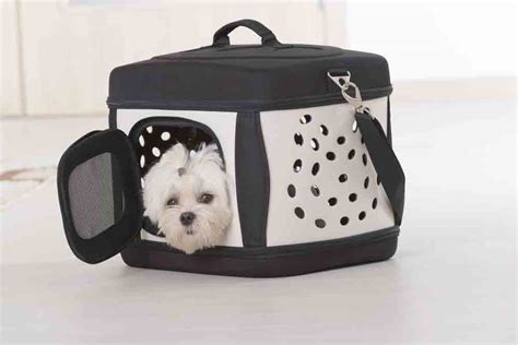 Best 8 Dog Backpack - MarshalCart