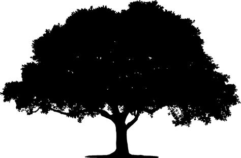 Oak Tree Silhouette Tattoo