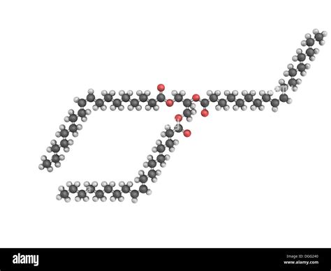 3d model of triolein molecule, a triglyceride contained in olive oil, is derived from glycerol ...