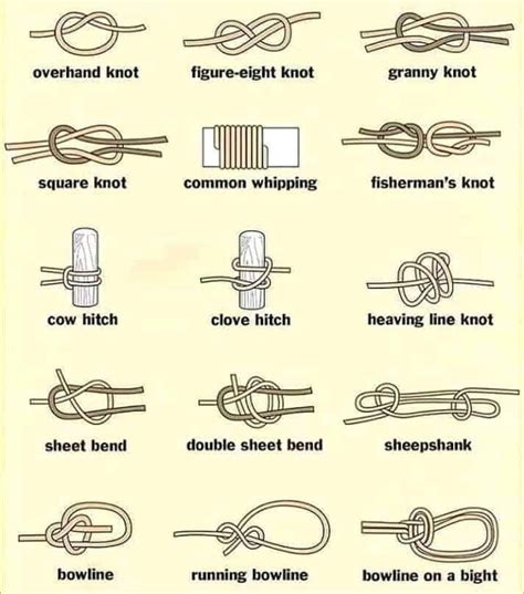 Types of Knot #CoolGuide | Tie knots, Types of knots, Knots