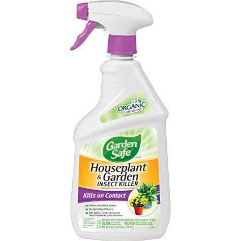 Top 10 Best Insecticide For Flies – Recommended By Editor – Drive Celadon