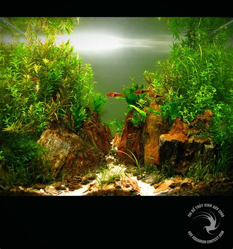 Aquarium Blog: Coletanea de Layouts para Aquarios Plantados Planted Aquarium, Nano Aquarium ...