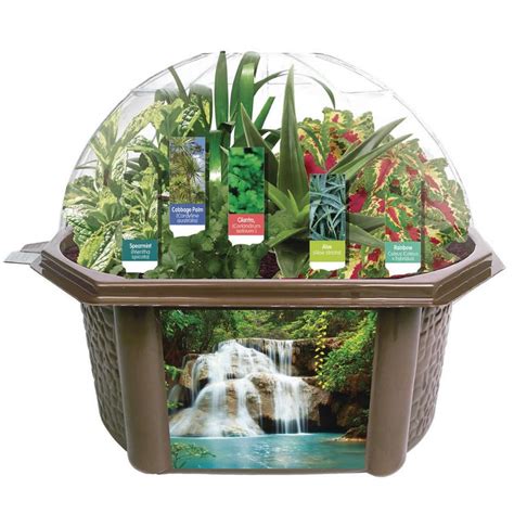 Sensory Eco-Biosphere Plant Dome with 5 Different Seeds