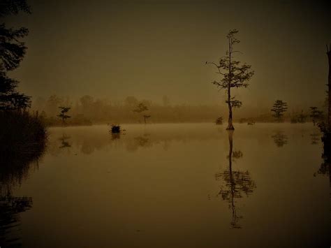 Cypress Pond Photograph by Scotty Womack - Fine Art America