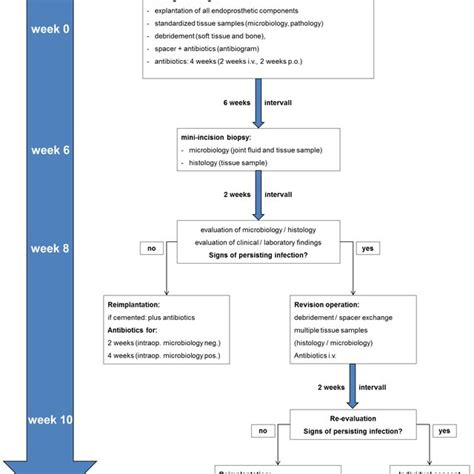 Algorithm "periprosthetic infection" | Download Scientific Diagram