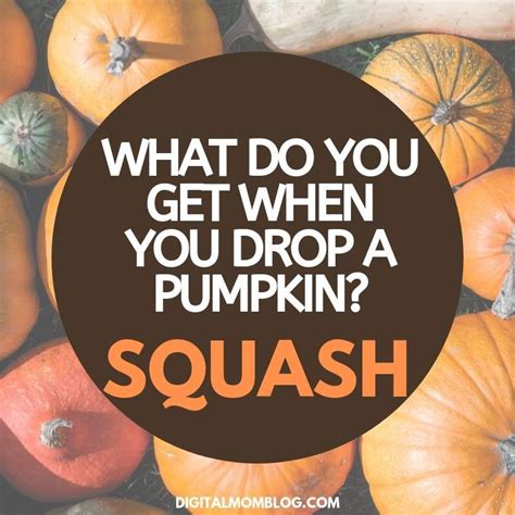 Funny Pumpkin Memes, Puns and Fun | Pumpkin memes, Silly jokes, Memes