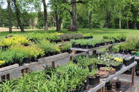 Green Thumb Backyard Nursery, Scenery Hill, Pennsylvania