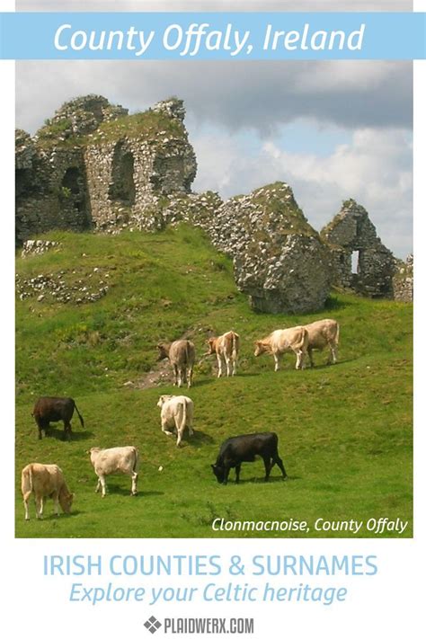 Did your Irish ancestors emigrate from County Offaly? Learn more about ...