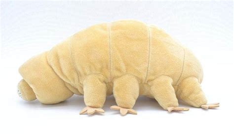 Tardigrade plushie by Style's Bug