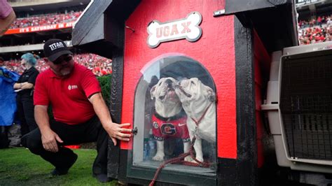 Uga X & Uga XI share Dawg House in pregame ceremony: WATCH