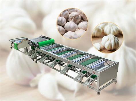 Garlic machinery - Garlic harvester machine,Garlic classifying machine ...