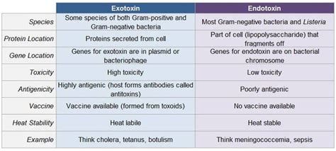 Exotoxin and Endotoxin - MEDizzy