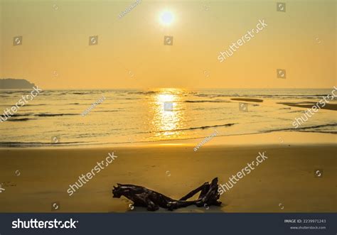 Gorgeous Sunset Goa Beach Stock Photo 2239971243 | Shutterstock