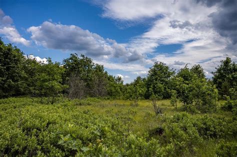 Lot 5 17th St, Necedah, WI 54646 | MLS# 1939060 | Redfin