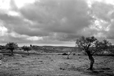 Sad Landscape Stock Photos - Image: 2021203