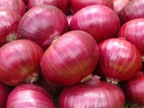 Govt increases minimum certified purchasing price of big onions