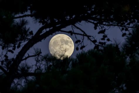 8 Tips for Perfect Moon Photography Settings