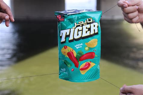 tiger chips on Behance