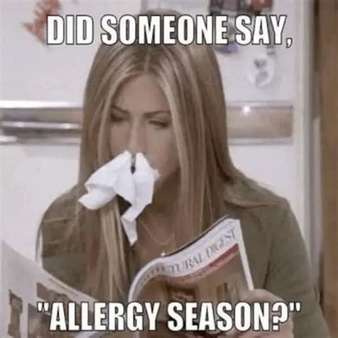 25 Best Allergies Meme Collection - Allergy Preventions