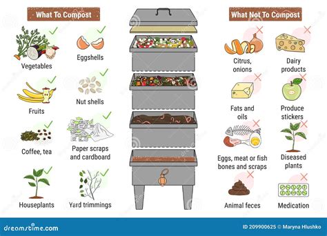 Infographic Of Vermicomposting. Components Of Vermicomposter ...