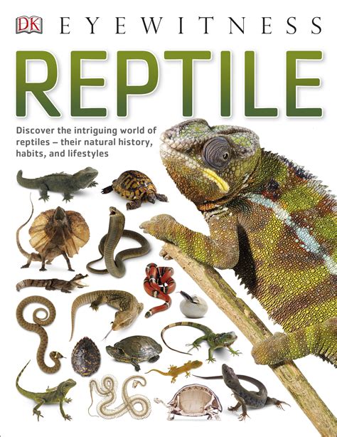 Reptile by DK - Penguin Books New Zealand