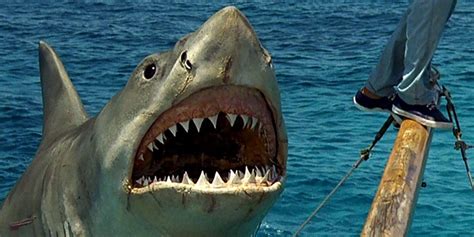 The Best Killer Shark Movies Against Every Jaws (According To Rotten ...