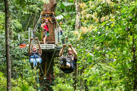 Cape Tribulation Tours & Daintree Tours - Jungle Tours