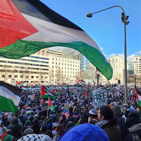 'A permanent ceasefire means a free Palestine!' Voices from the March on Washington for Gaza ...