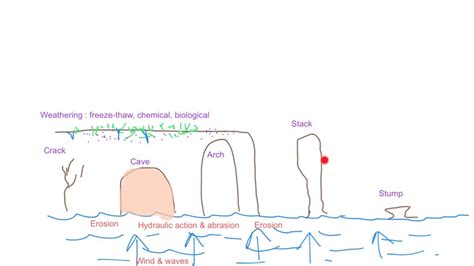 The Formation Of Caves Arches And Stacks Golearngeography